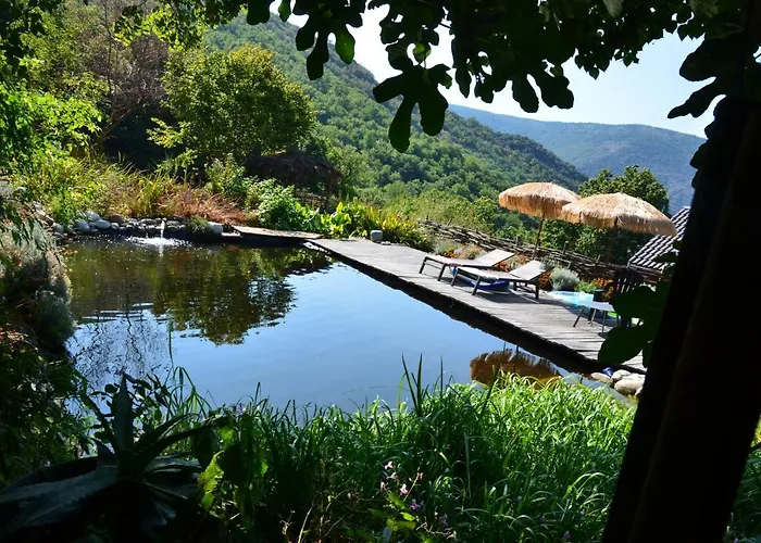 Bed & Breakfast Le Petit Nid Sablieres